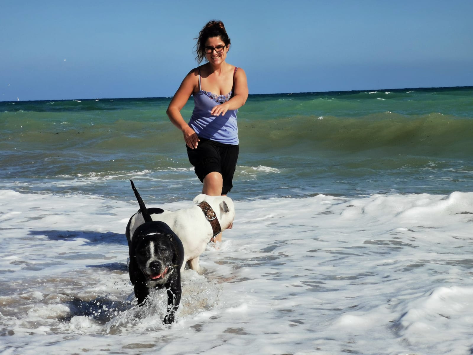 jara loureiro etologa playa sitges perros caminar agua orilla che hook american bully staffy